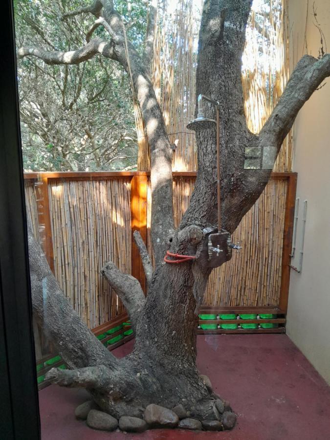Kosi Bay Casitas Βίλα Manguzi Εξωτερικό φωτογραφία